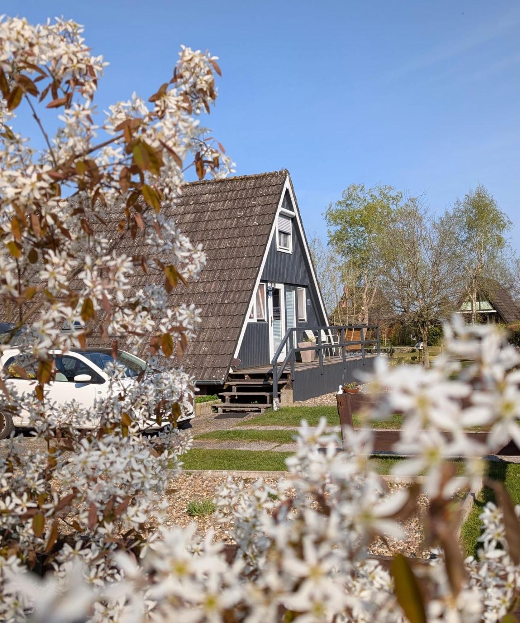 Ferienhaus Brungers Südbrookmerland Esterno foto